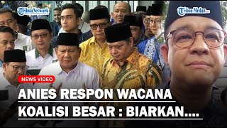 RESPON ANIES Soal Wacana Koalisi Besar  Biarkan Partai Politik Yang Memutuskan [upl. by Quinta]