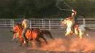 Dash Awesome Rodeo Horse For Sale Roping [upl. by Ahker727]