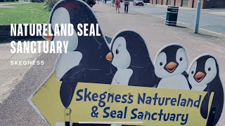 Natureland Seal Sanctuary  Skegness [upl. by Helban]