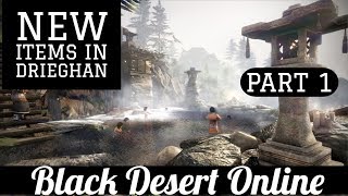 Black Desert Online BDO Drieghan Coverage New Items Added [upl. by Madonia]