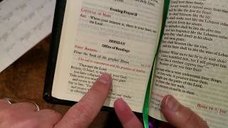 5 Office of Readings  Step 2 of Praying the Liturgy of the Hours [upl. by Ahsiruam910]