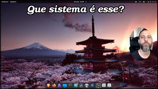 Melhor sistema Que Sistema é esse Mudança do Rikerlinux [upl. by Aner760]