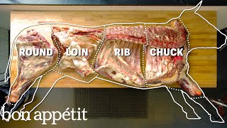 How To Butcher An Entire Cow Every Cut Of Meat Explained  Bon Appetit [upl. by Eidob]