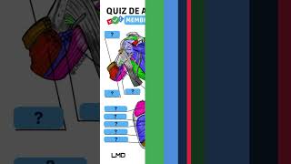 🔴👉 QUIZ DE ANATOMIA 🟨 Aula de Anatomia humana shorts [upl. by Yrallih]