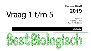 Biologie examen havo 2019 eerste tijdvak vraag 1 tm 5 [upl. by Zumstein433]