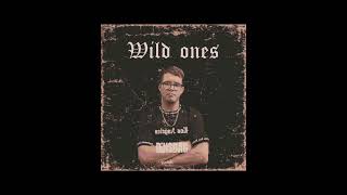 wild ones  addidasgang030 prod by adg Records studios NL [upl. by Keyser736]