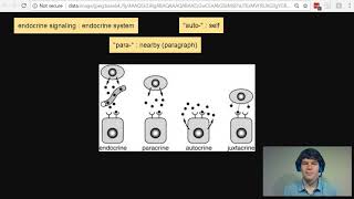 MCAT Question of the Day Paracrine Autocrine Juxtacrine and Endocrine Signaling [upl. by Seymour47]