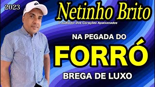 Netinho Brito na Pegada do Forró Brega de Luxo [upl. by Isidore]