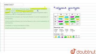 Assertion  On the basis of Punnett square the F2 generation of dihybrid plant will produce [upl. by Ahtnams]