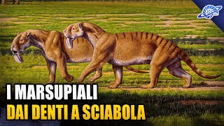 I Marsupiali dai DENTI A SCIABOLA [upl. by Hanikahs]