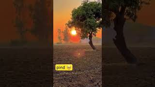 pind 🥺 pind desi pindawale pindan jatt trending shortsfeed shorts song kulbirjhinjar [upl. by Elleirbag]