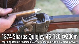 Pedersoli 1874 Sharps Quigley 45120 at 200m  TEASER [upl. by Sokin687]