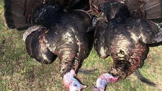 spring turkey season 2024 podcast [upl. by Deron77]