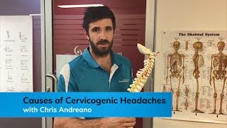 Causes of Cervicogenic Headaches [upl. by Lev]