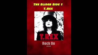 Rank The Tracks The Slider Side 1 TRex [upl. by Sleinad]