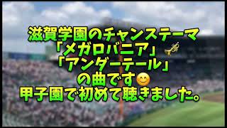 滋賀学園のチャンステーマ「メガロバニア」🎺「アンダーテール」の曲です😊甲子園で初めて聴きました✨第106回全国高等学校野球選手権大会 [upl. by Gomer940]