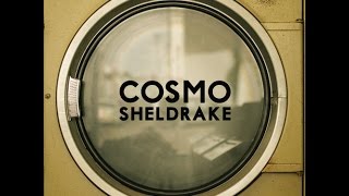 Cosmo Sheldrake  Solar [upl. by Ordnassela]