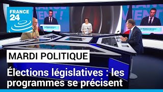 Élections législatives  les programmes des candidats se précisent • FRANCE 24 [upl. by Colston197]