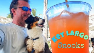 Florida Mini Loop Ep22  Sunset Cove Key Largo [upl. by Inaj]