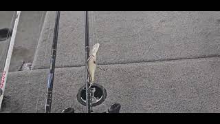 Clearlake Ca fishing report 11222024 rbbass fishing bassfishing local knowledge [upl. by Aisul]