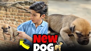 NEW DOG 🦮 DOG LA AYA  REHMAN NASIR VLOGS [upl. by Moser]