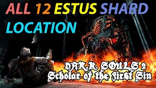 All 12 Estus Flask Shard Locations  Dark Souls 2 Scholar of The First Sin [upl. by Nnylear135]