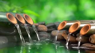 Relaxing Music  Spa Music Massage Yoga Sleep Music Running Water Stress Relief Music Zen [upl. by Nahshon]