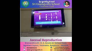 ✨🌟Asexual ReproductionG10ScienceSri Gnanajyothi School 🏫 [upl. by Quickel]