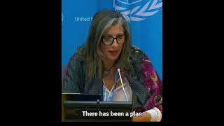 Palestinians risk being erased from northern Gaza says UN Special Rapporteur [upl. by Dean]