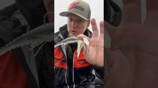 How To Catch MORE Bass On A Chatterbait [upl. by Benilda606]