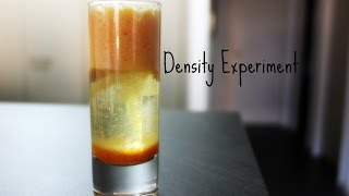 Density Experiment  Science for kids [upl. by Birch]