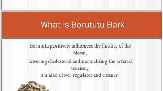 What is Borututu Bark [upl. by Ulrick]