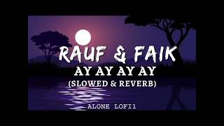 RAUF FAIK AY AY AY SLOWEDREVERB [upl. by Laks]