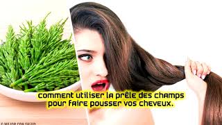 Comment utiliser la prêle des champs pour faire pousser vos cheveux [upl. by Mik]