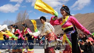 Live What does the Tibetan New Year look like 藏历新年知多少 [upl. by Onurb361]