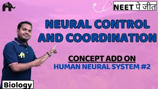 Neural Control and Coordination Class 11 Biology NEET  NCERT Chapter 18  Human Neural System 2 [upl. by Armyn]