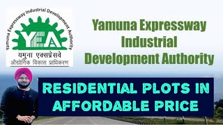 Noida Authority Plots In Affordable Price  सबसे सस्ते Plots plots delhi dda realestate yeida [upl. by Lianne]