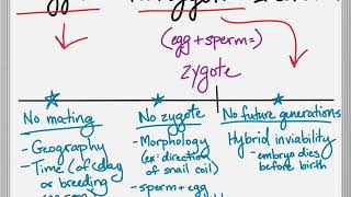 Bio Brief Prezygotic and Postzygotic Isolating Mechanisms [upl. by Amik]