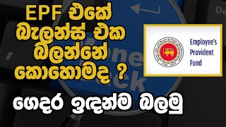 🔴 EPF බැලන්ස් එක ලේසියෙන්ම බලාගන්නේ මෙහෙමයි  How to Check Your EPF Balance Online in Sri Lanka [upl. by Magree349]