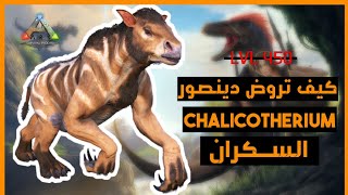 ترويض چاليكوثيريوم chalicotherium السكران ارك موبايل  ARK Survival Evolved [upl. by Gaylor]