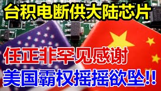 台积电全面断供大陆芯片、任正非罕见感谢特朗普、美国霸权摇摇欲坠、 [upl. by Eenhat490]