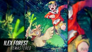 Ilex ForestUnion Cave Remastered ► Pokémon Heart Gold amp Soul Silver [upl. by Annayak]