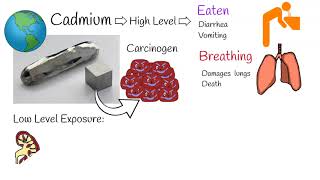 Cadmium  cancer causing agent sources and symptoms Cadmium containing battery [upl. by Bartolomeo]