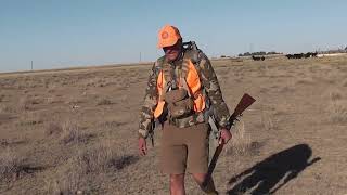 Colorado Traditional Muzzleloading Pronghorn Antelope Hunt [upl. by Ozan]