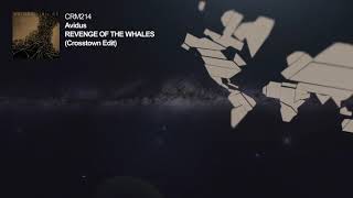 Avidus  Revenge of the Whales Crosstown Edit [upl. by Ayekel]