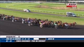 Prix du Chesnay  quinté  a vincennes  seguinel mabon ° yves dreux° [upl. by Etyak]