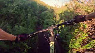 Weed Whacking Down Single Track  MTB [upl. by Eidissac755]