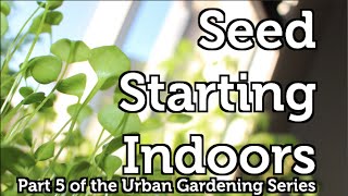 Starting and Growing your own Seedlings indoors [upl. by Arotal]