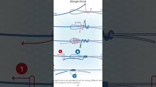 How to Albright knot 😊🎣🍻 [upl. by Sirahs]