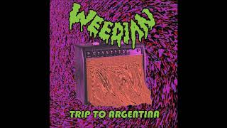 WEEDIAN  Trip to Argentina Compilation 2020  Full Album [upl. by Ttehr]